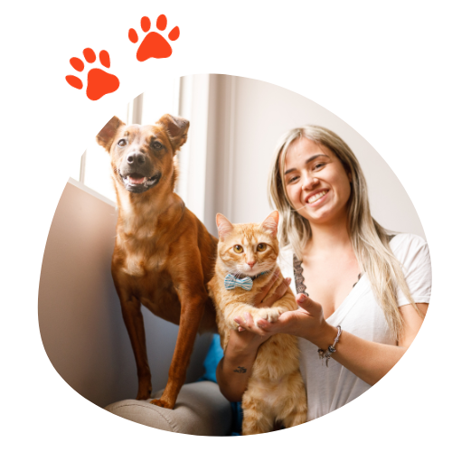 Paws & Furrs: professional pet care services in Pune.